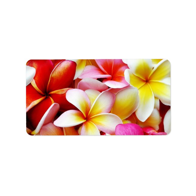 Plumeria Frangipani Hawaii Flower Customized Label (Front)