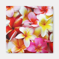 Plumeria Frangipani Hawaii Flower Customized