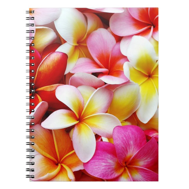 Plumeria Frangipani Hawaii Flower Customized Notebook (Front)