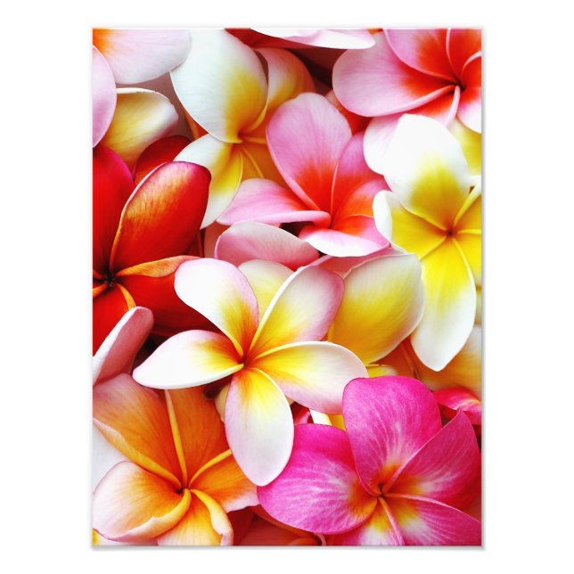 Plumeria Frangipani Hawaii Flower Customized Photo Print (Front)
