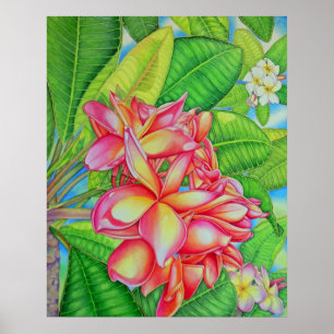 Plumeria Garden Poster