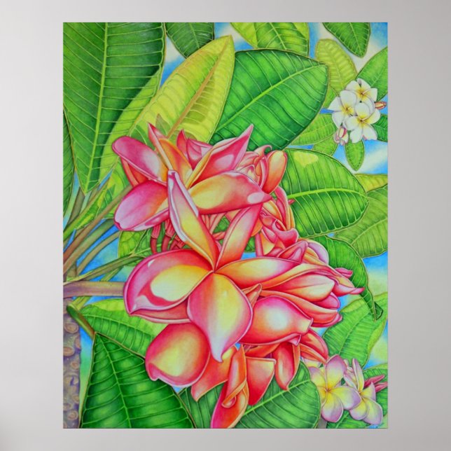 Plumeria Garden Poster (Front)