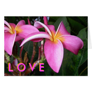 Plumeria L O V E