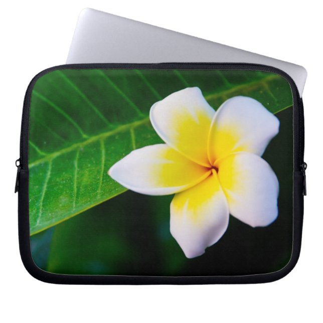 Plumeria Laptop Sleeve (Front)