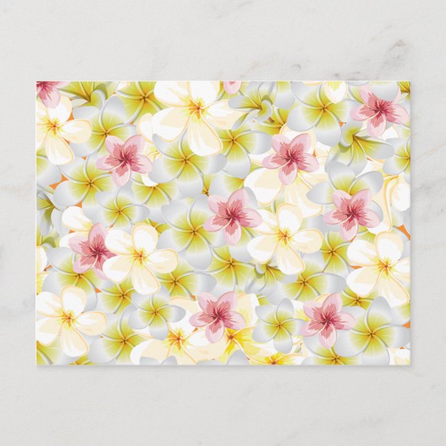 Plumeria Love Me Postcard (Front)