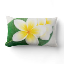 plumeria