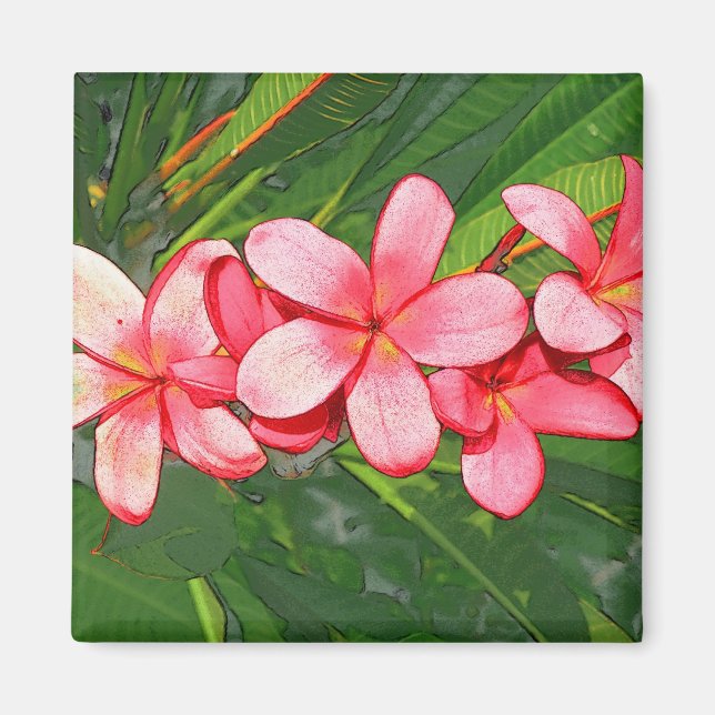 Plumeria Magnet (Front)
