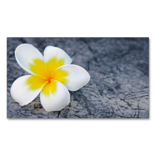 plumeria 	Magnetic business card