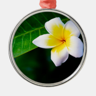 Plumeria Metal Ornament