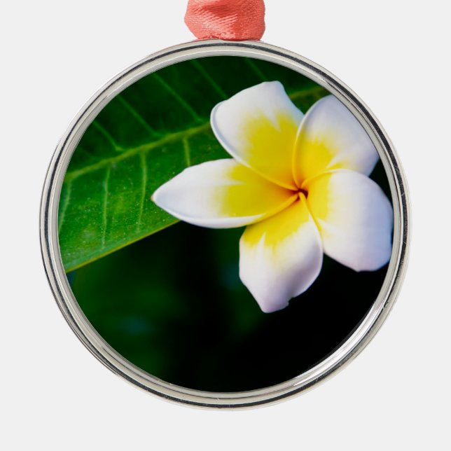 Plumeria Metal Ornament (Front)