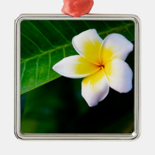 Plumeria Metal Ornament