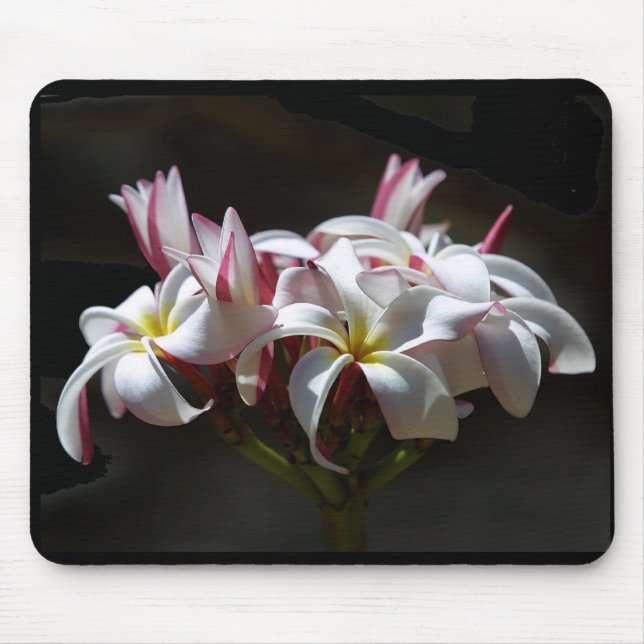 Plumeria Mousepad (Front)