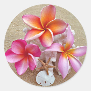 Plumeria on Shells on Beach Classic Round Sticker