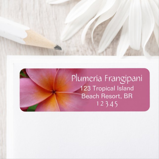 Plumeria rose Frangipani Fleur Adresse tropicale (En situation)