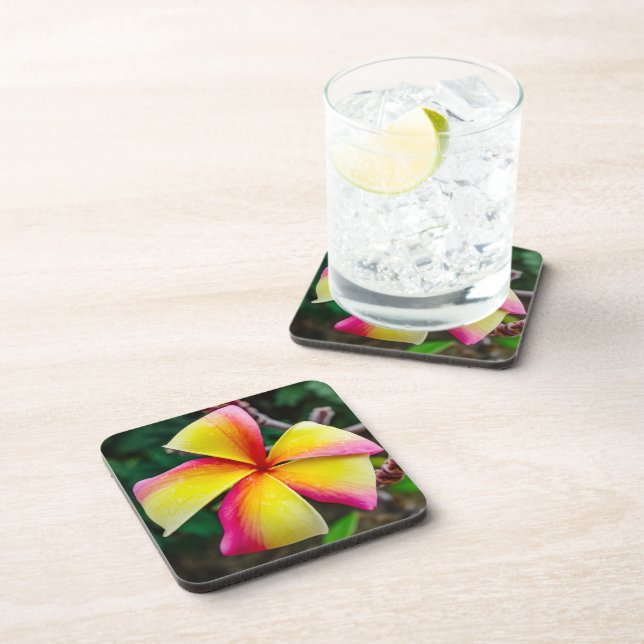 Plumeria rubra coaster (Right Side)