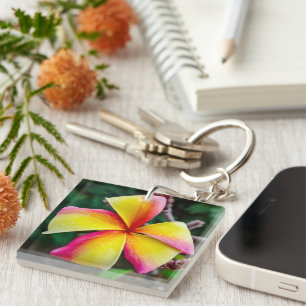 Plumeria rubra keychain