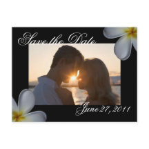 Plumeria Save the Date Postcard