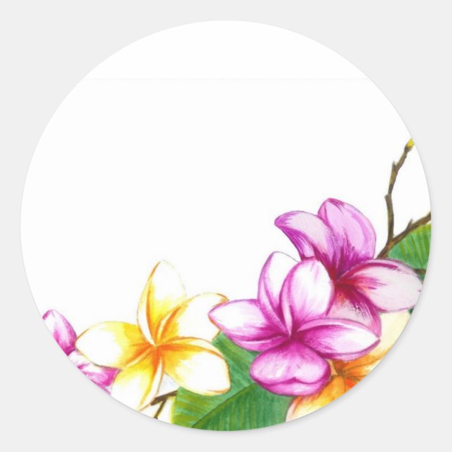 Plumeria sticker, Tropical theme flowers Classic Round Sticker (Front)
