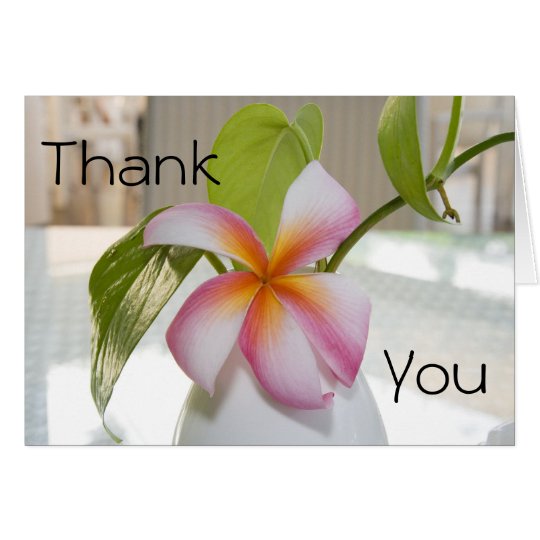 Plumeria Thank You Card