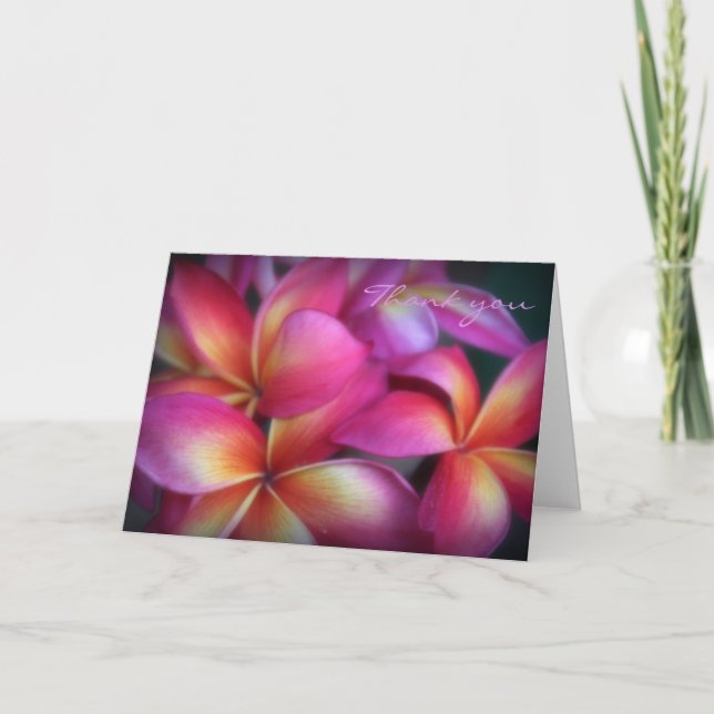 Plumeria Thank You Note (Front)