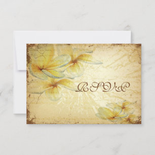 Plumeria Vintage PixDezines rsvp