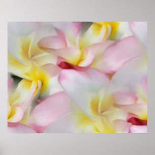 Plumeria Watercolor Print