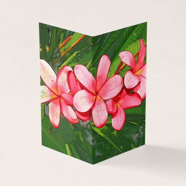 Plumerias (Outside)