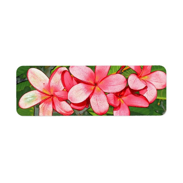 Plumerias (Front)