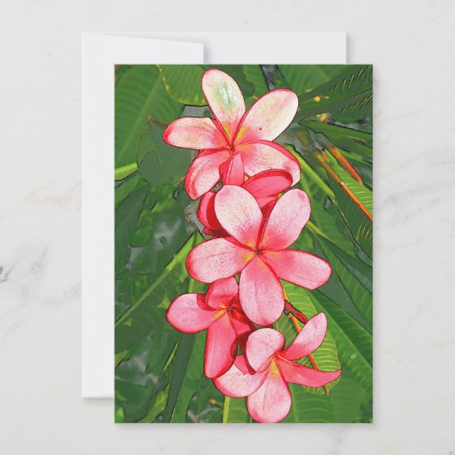 Plumerias  card (Front)