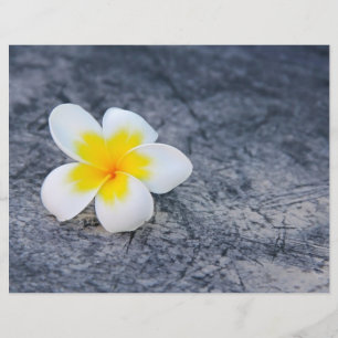 Plumerias Flyer