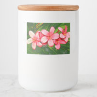 Plumerias
