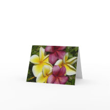 Plumerias hawaïennes colorées Carte de voeux pliée