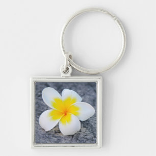 Plumerias Keychain