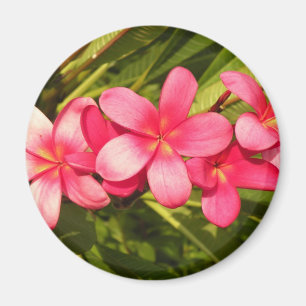 Plumerias Magnet