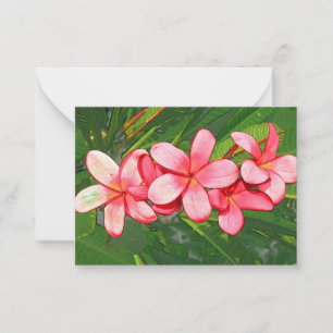 Plumerias pink  card