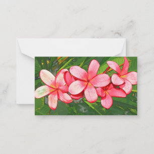 Plumerias pink  card