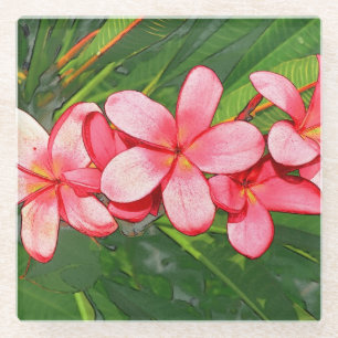 Plumerias pink  glass coaster