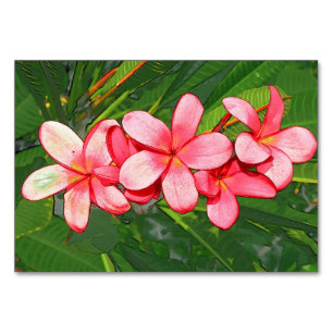 Plumerias pink table number