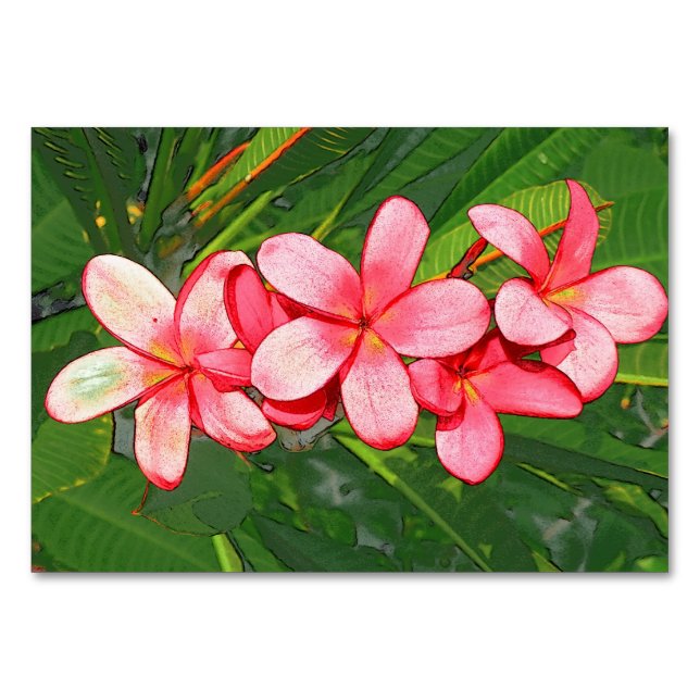 Plumerias pink   table number (Front)