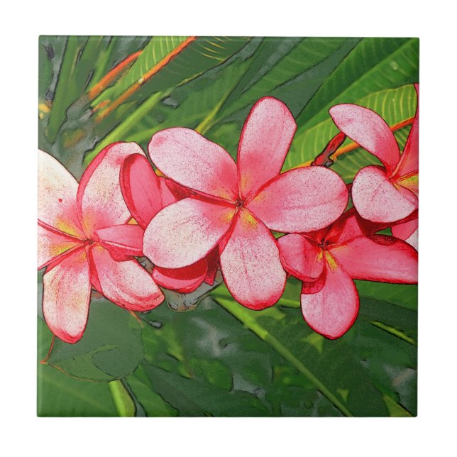 Plumerias pink   tile (Front)