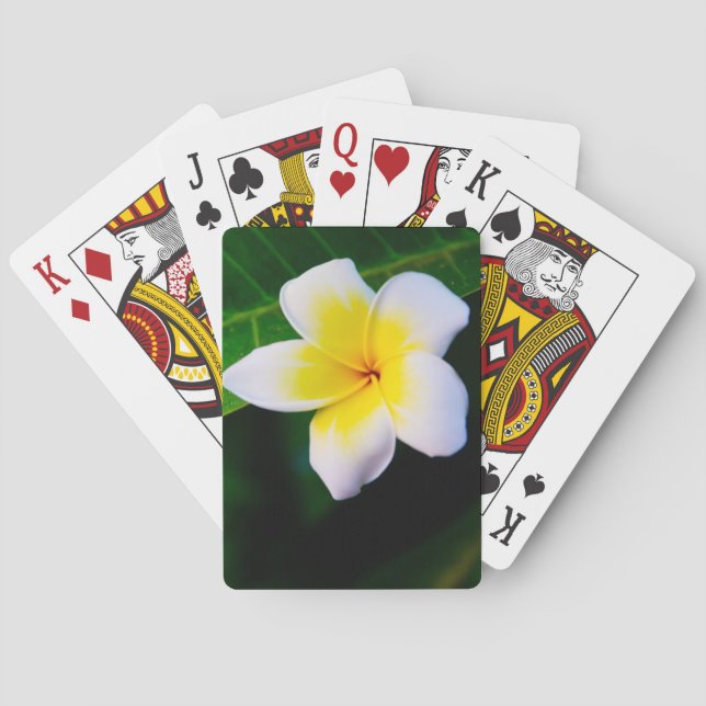 Plumerias Playing Cards (Back)