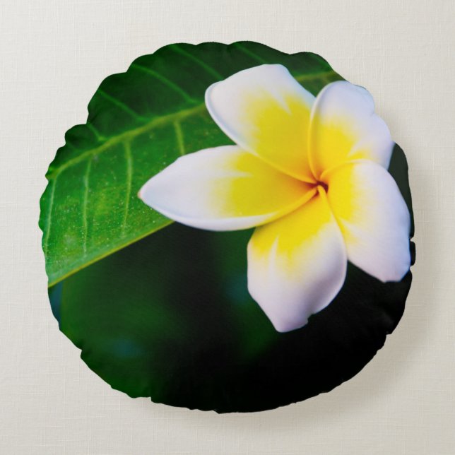 Plumerias Round Pillow (Front)