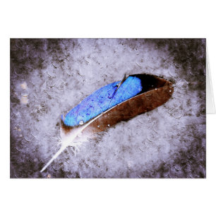 Plumes bleues
