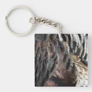 Plumes de Dindon Sauvage I Design Abstrait de la N