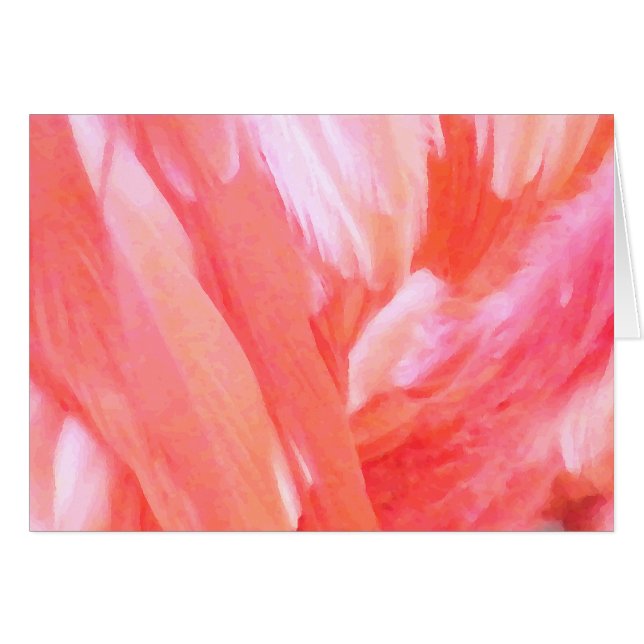 Plumes de Flamant Rose_ (Devant horizontal)