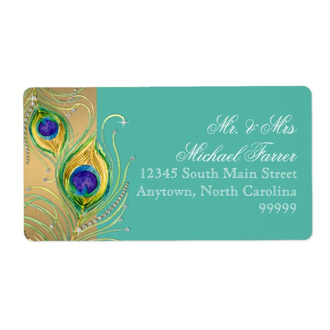 Plumes de paon moderne Faux Bijoux Scroll Turquois (Devant)