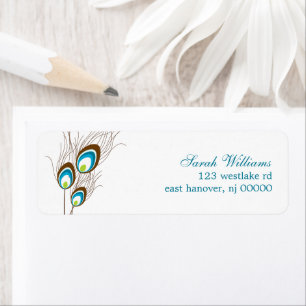 Plumes de paon turquoises