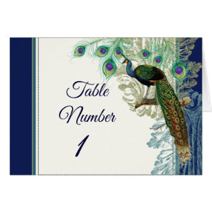 Plumes de paon vintage Numéros de tableau Marine B