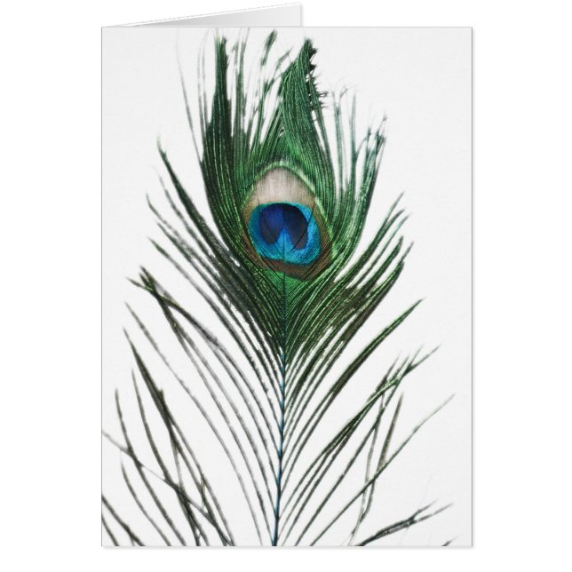 Plumes de paquetage défectueuses (Devant)