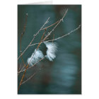 Plumes d'oie sur les eaux bleues